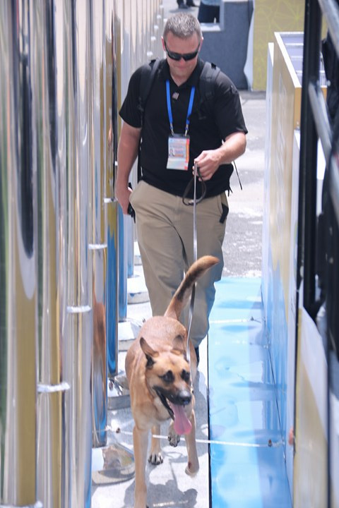 Nhìn gần chó nghiệp vụ Mỹ ở sân bay Đà Nẵng ảnh 2