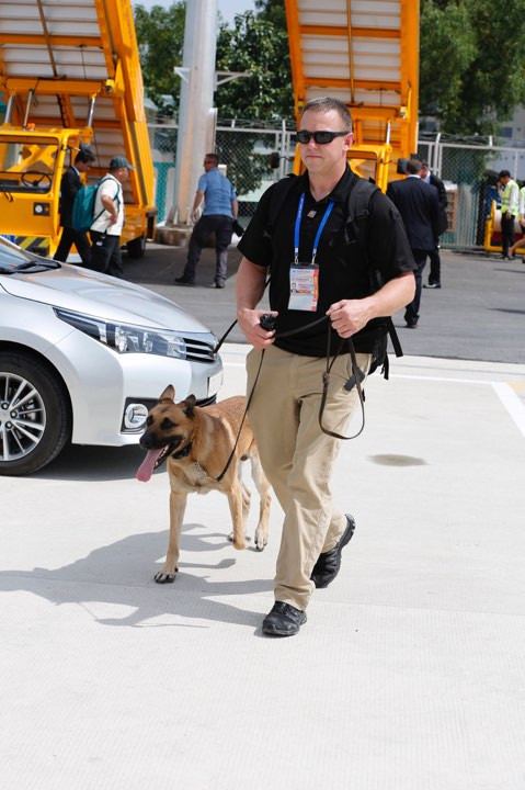 Nhìn gần chó nghiệp vụ Mỹ ở sân bay Đà Nẵng ảnh 10