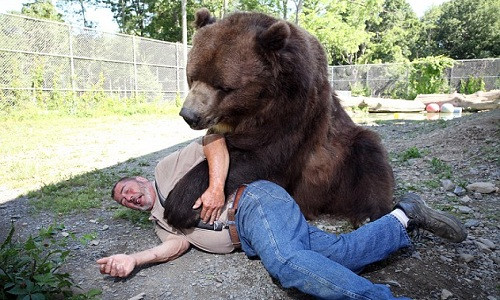 Đôi vợ chồng Mỹ coi gấu nâu nặng gần 7 tạ như con ruột ảnh 2