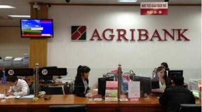 Agribank những tháng đầu năm 2019: Hoạt động kinh doanh tiếp tục tăng trưởng ảnh 2