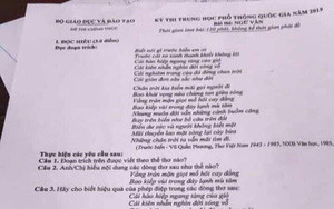 Đề Ngoại ngữ dễ thở, nhiều thí sinh thở phào tự tin đạt 8 điểm ảnh 39