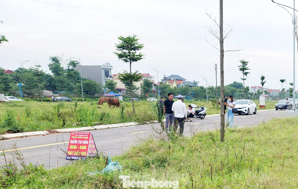 Ảnh minh họa. Ảnh minh họa.