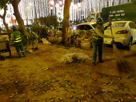 Quả rụng đầy đường sau khi thu dọn cây