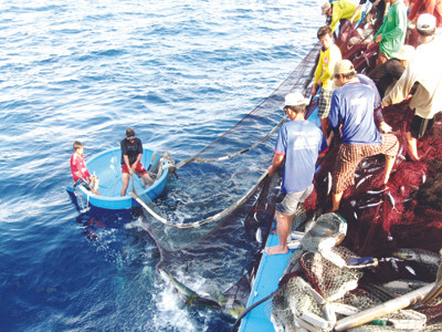 Ngư dân miền Trung đoàn kết bám biển. ảnh: H.D