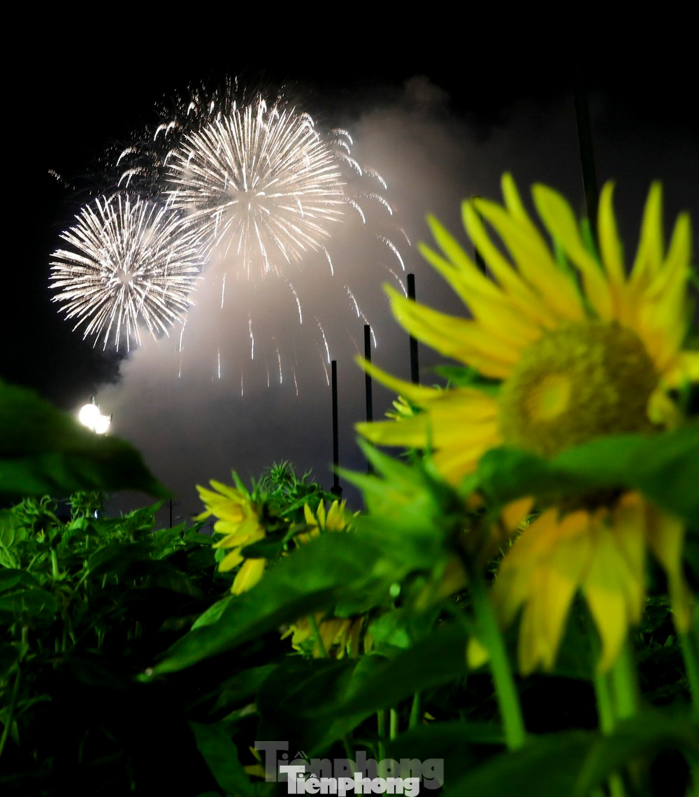 Màn pháo hoa rực rỡ kết hợp với vẻ đẹp của hoa hướng dương đã tạo nên một sắc màu lung linh trong những thời khắc đầu tiên của năm 2024. Màn pháo hoa rực rỡ kết hợp với vẻ đẹp của hoa hướng dương đã tạo nên một sắc màu lung linh trong những thời khắc đầu tiên của năm 2024.