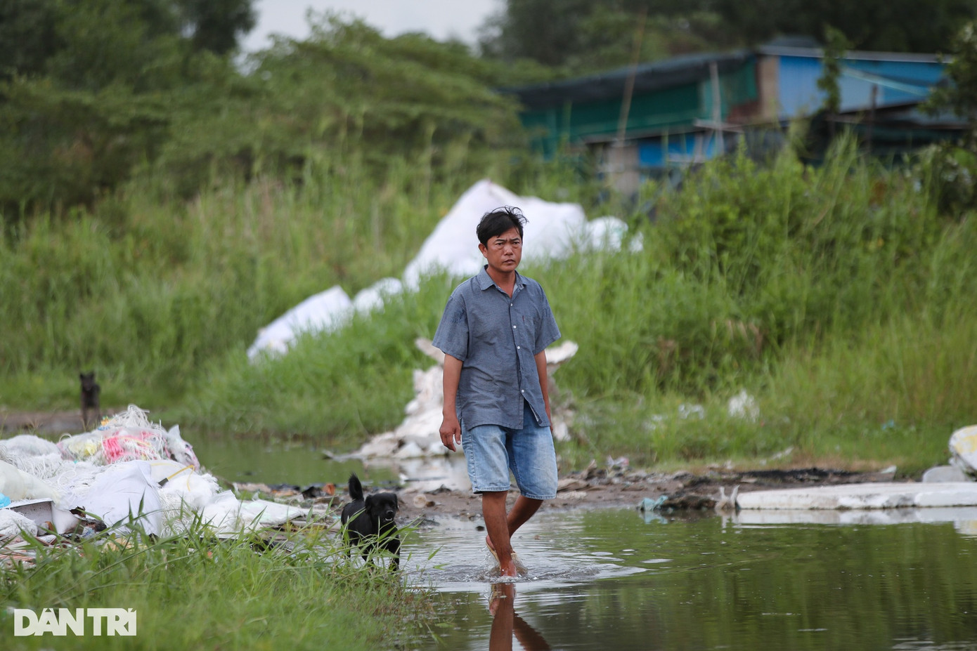 Vào những ngày mưa, nước ngập lênh láng ở bãi rác, mùi hôi bốc lên nồng nặc.