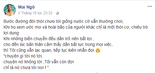 Mai Ngô chính thức rời Hoa hậu Hoàn vũ VN 2017 ảnh 1