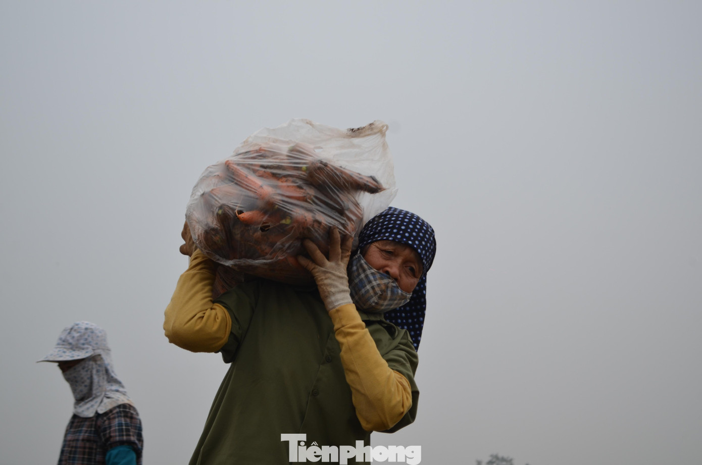 … với thù lao 170 nghìn đồng/ngày công.