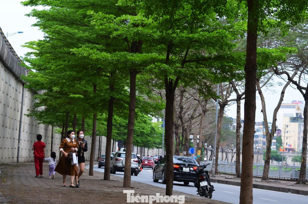 Người dân khi tản bộ qua đây không khỏi ngỡ ngàng với khung cảnh lãng mạn tựa như nhiều con đường ở châu Âu.