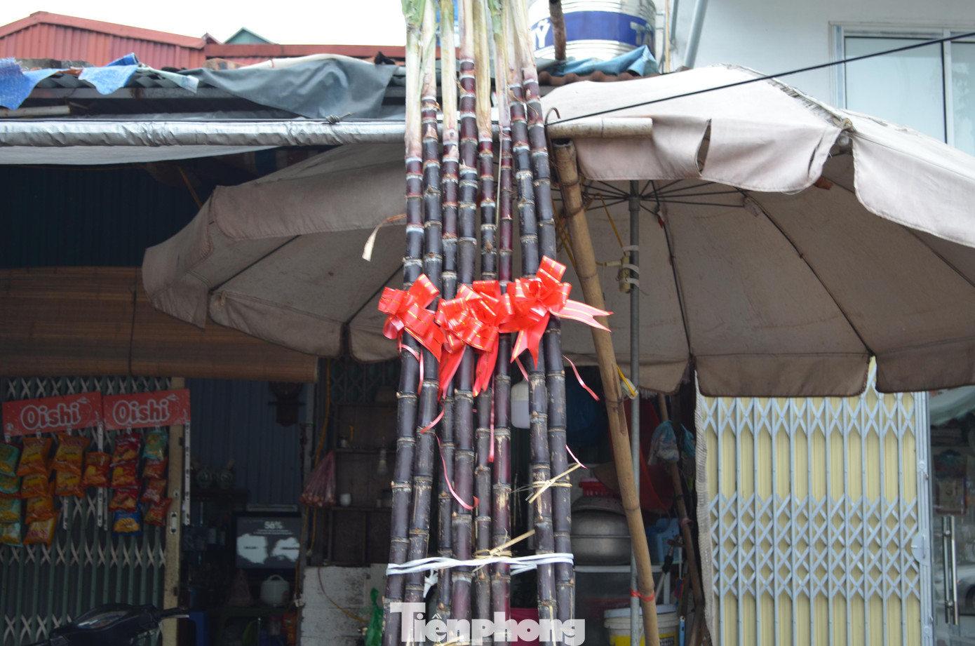 Mỗi dịp Tết đến xuân về, bên cạnh mâm ngũ quả tượng trưng cho âm dương - ngũ hành, các gia đình người Việt thường tìm và chọn mua lấy hai cây mía thật to, thật thẳng để dựng hai bên bàn thờ tổ tiên. Mỗi dịp Tết đến xuân về, bên cạnh mâm ngũ quả tượng trưng cho âm dương - ngũ hành, các gia đình người Việt thường tìm và chọn mua lấy hai cây mía thật to, thật thẳng để dựng hai bên bàn thờ tổ tiên.