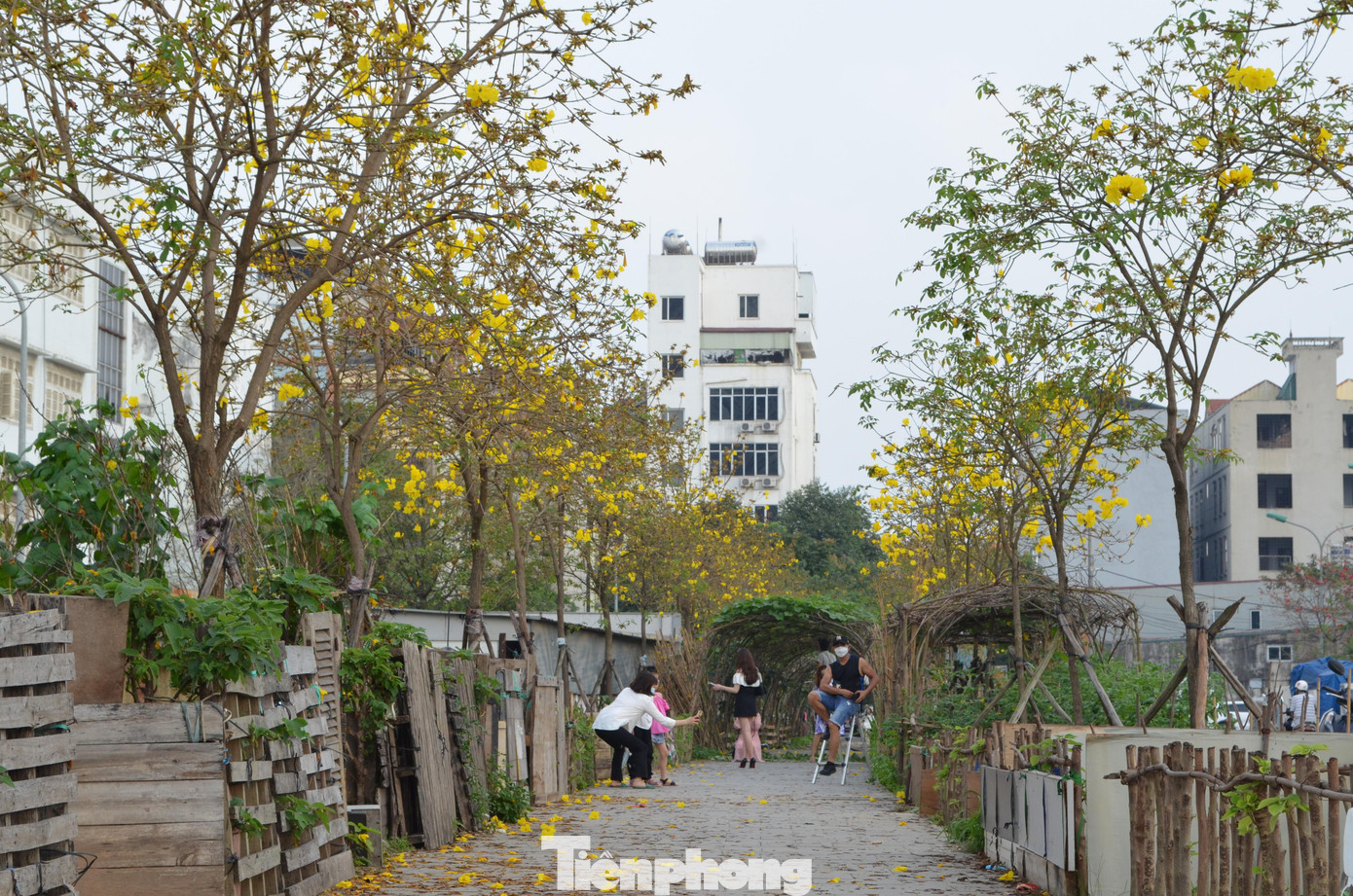 Địa điểm check-in mới nằm gần cạnh trường chuyên THPT Nguyễn Huệ tọa lạc tại phường La Khê (Hà Đông, Hà Nội).