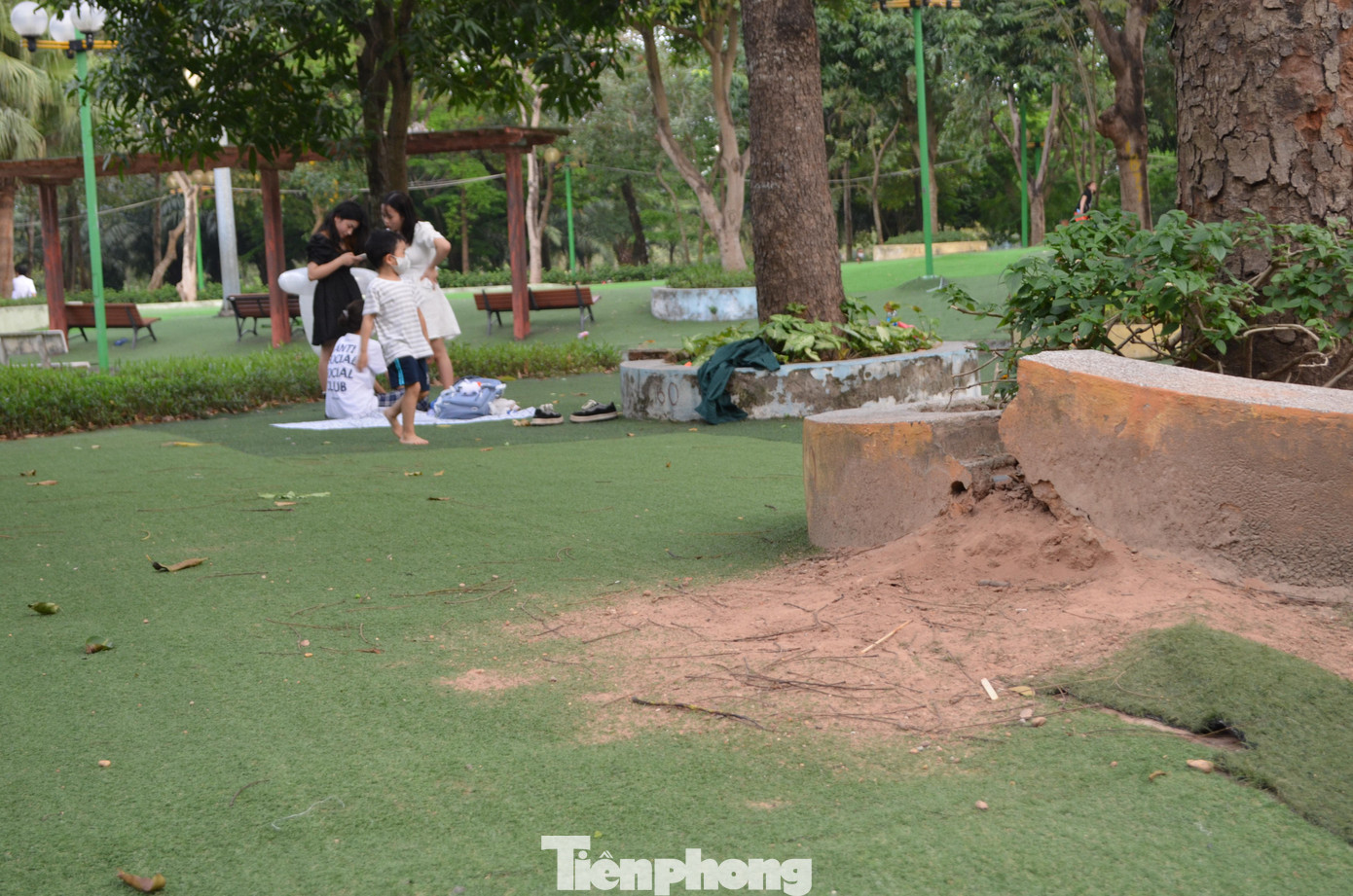 Thậm chí đất cát tràn ra cả thảm cỏ.