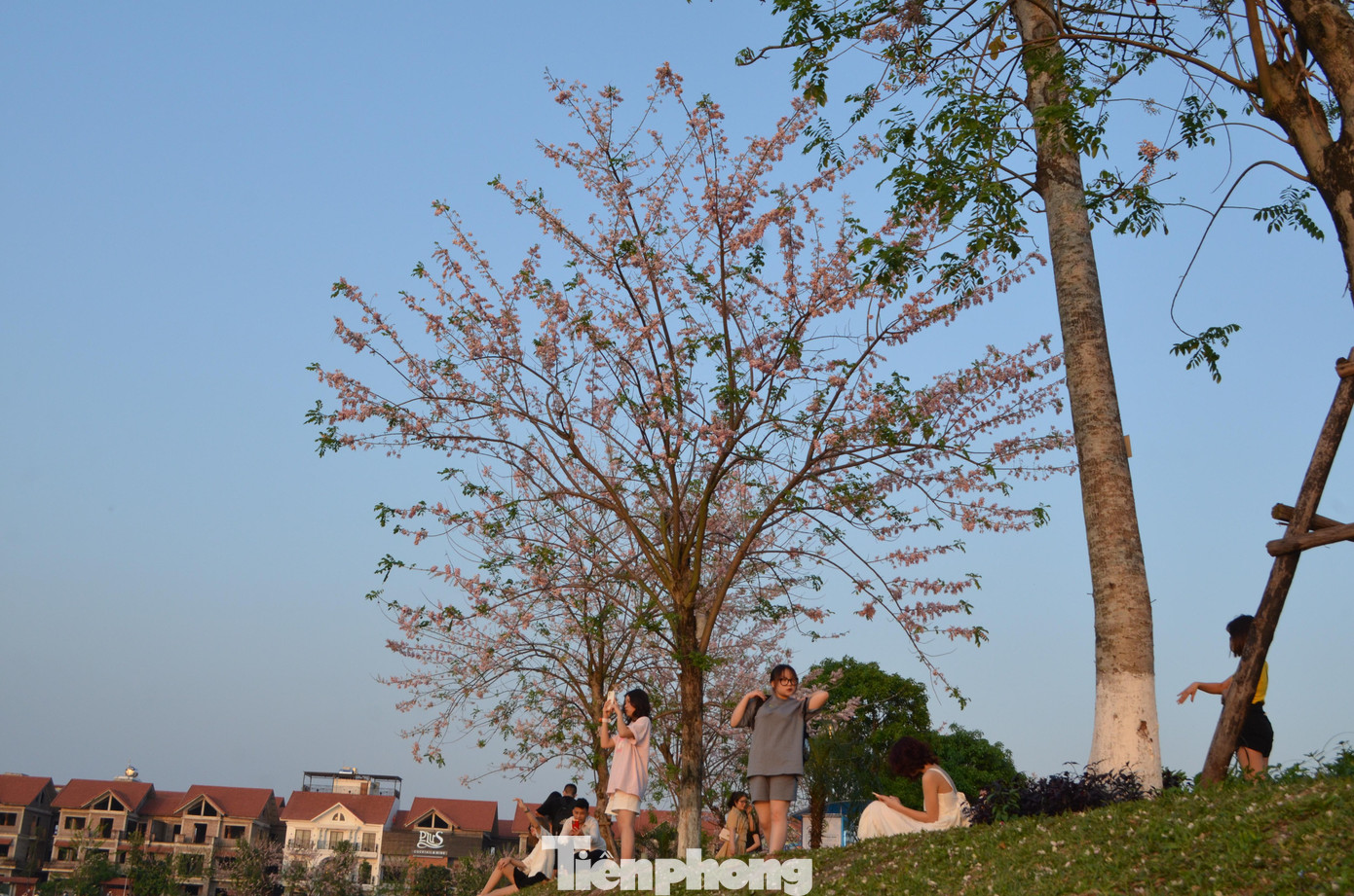 Ghi nhận của Tiền Phong chiều 4/4, đã có rất đông các bạn trẻ đổ về đây check-in, thư giãn.