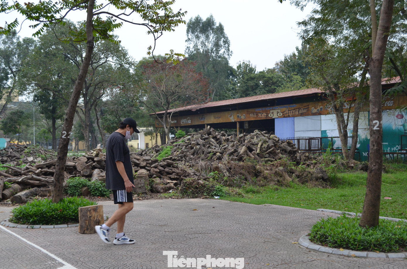 Phía sau một khu nhà chuyên phục vụ trẻ em là một bãi gỗ ngổn ngang.