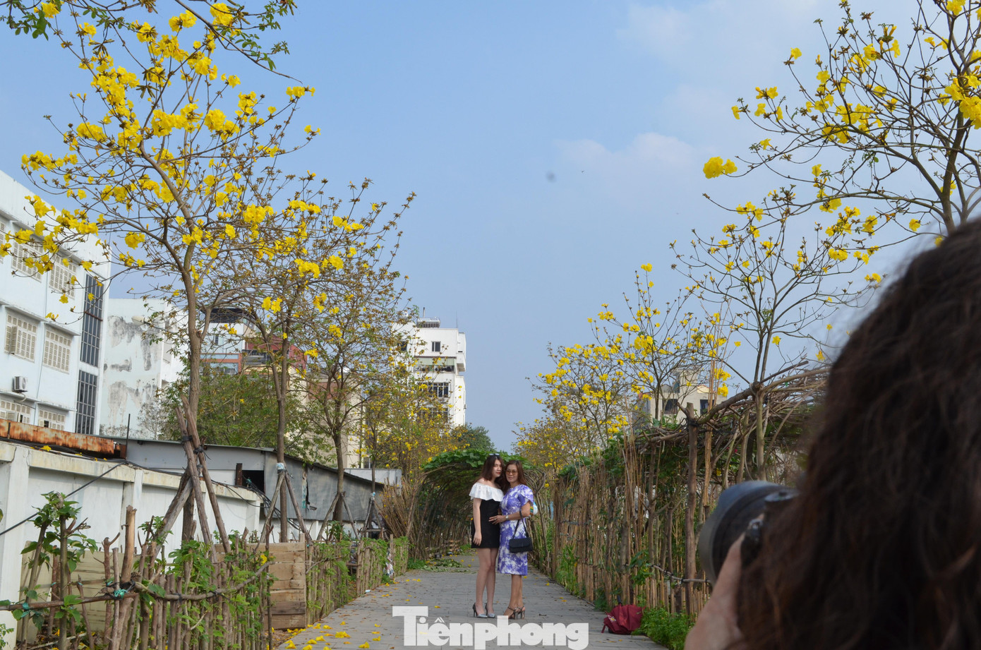 Ghi nhận của Tiền Phong chiều 22/3, có nhiều lượt khách đến tham quan, chụp ảnh dưới những hàng cây phong linh.