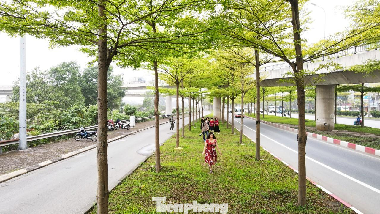 Nơi đây thu hút rất nhiều người Hà Nội và các tỉnh thành lân cận đổ xô về đây check-in.