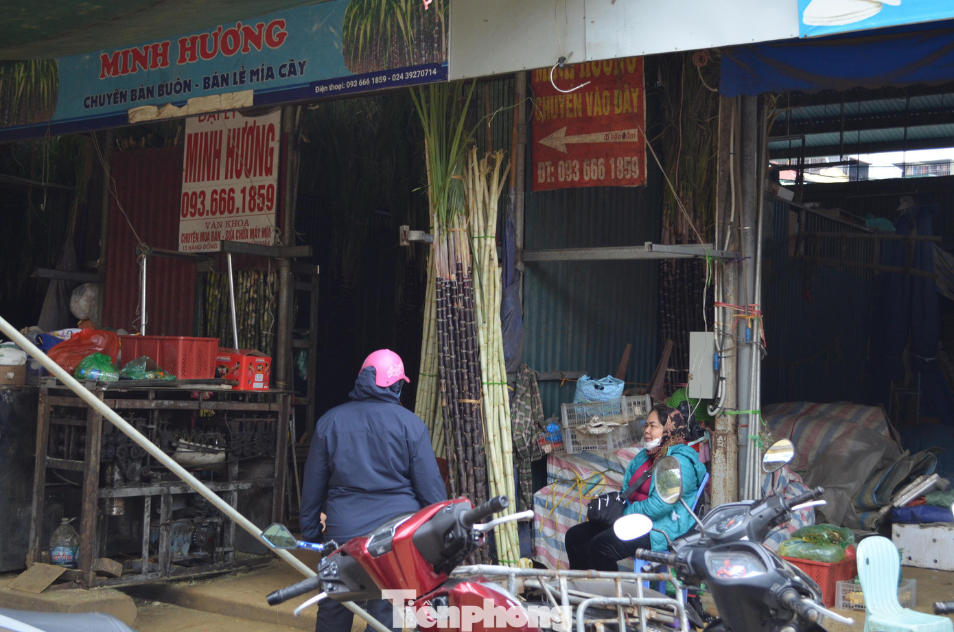 Ghi nhận của PV ngày 28 tháng Chạp, các tiểu thương tại chợ đầu mối Long Biên đang tất bật gom những chuyến hàng mía tím từ các tỉnh về, sẵn sàng phục vụ nhu cầu người dân trước thời khắc giao thừa. Ghi nhận của PV ngày 28 tháng Chạp, các tiểu thương tại chợ đầu mối Long Biên đang tất bật gom những chuyến hàng mía tím từ các tỉnh về, sẵn sàng phục vụ nhu cầu người dân trước thời khắc giao thừa.