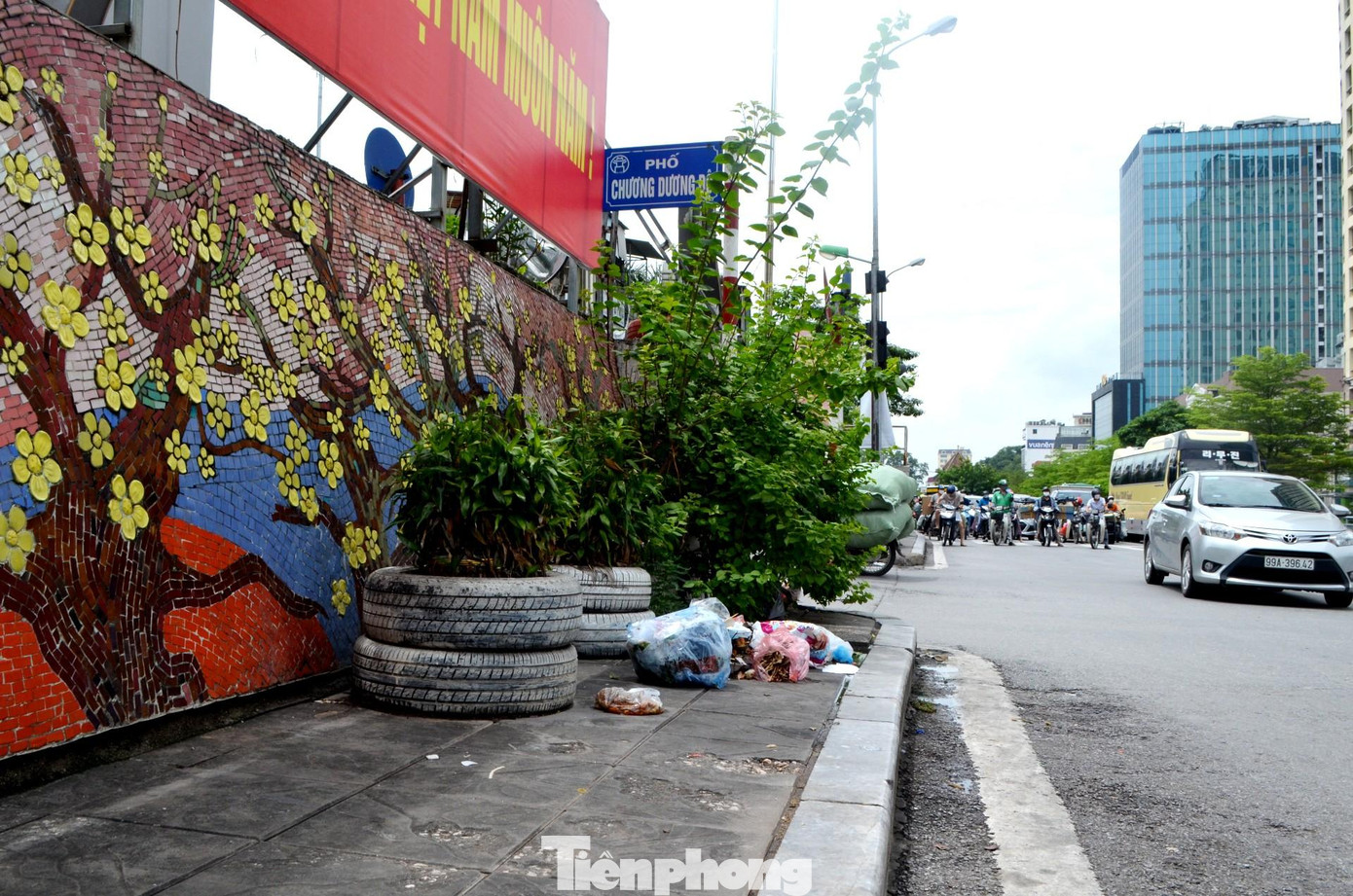 ...nhưng đoạn đầu phố Chương Dương Độ, giao với đường Trần Quang Khải rác, cây cảnh được vứt, chất xuống vỉa hè, ép vào con đường gốm sứ.