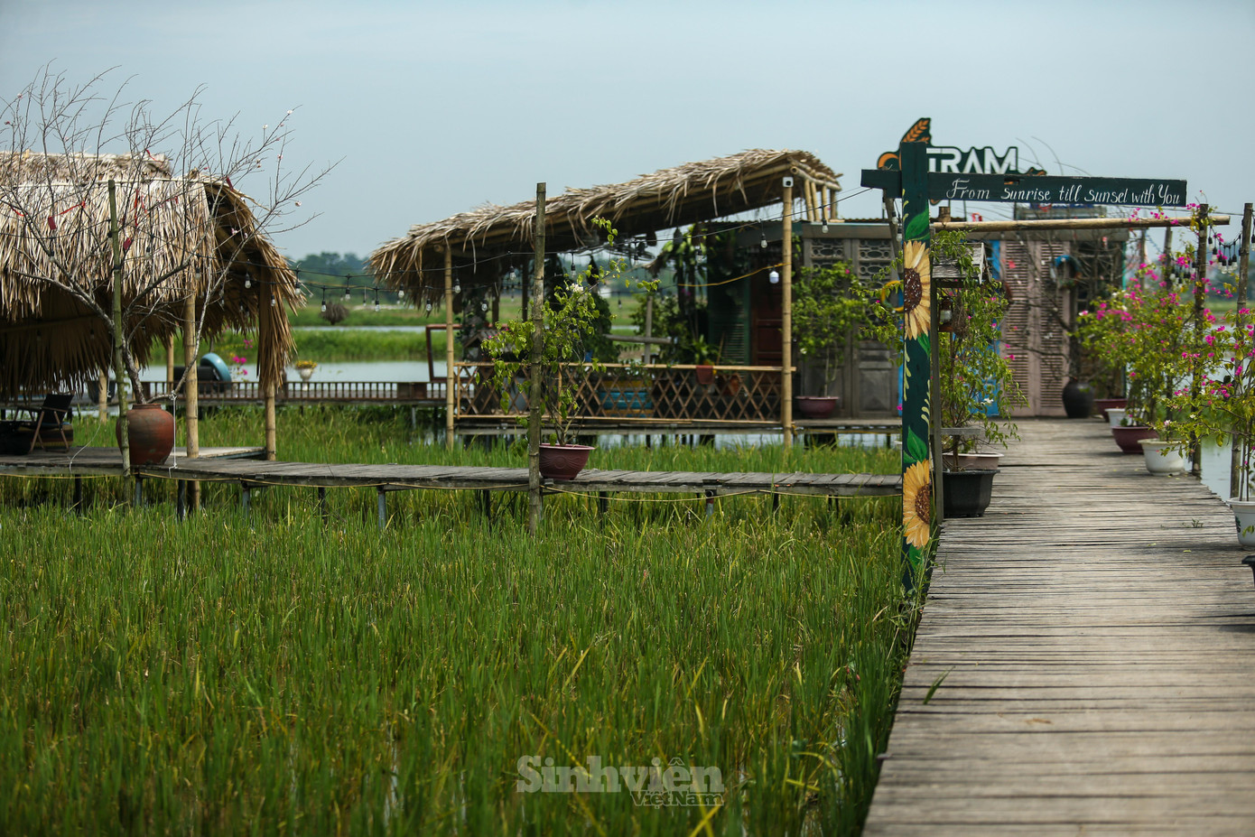 Cà phê ruộng trước giờ mở cửa.