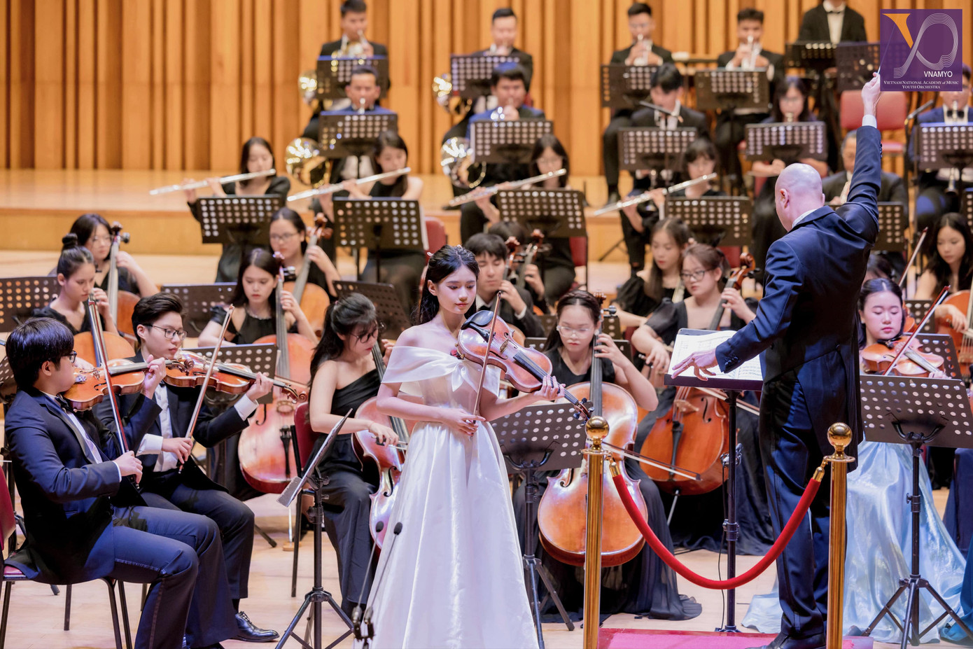 Hiện tại, Nguyên Lê đang là thành viên Dàn nhạc trẻ Học viện Âm nhạc Quốc Gia Việt Nam (VNAMYO) và là cộng tác viên cho Dàn nhạc Giao hưởng Hà Nội, Dàn nhạc HBSO,...