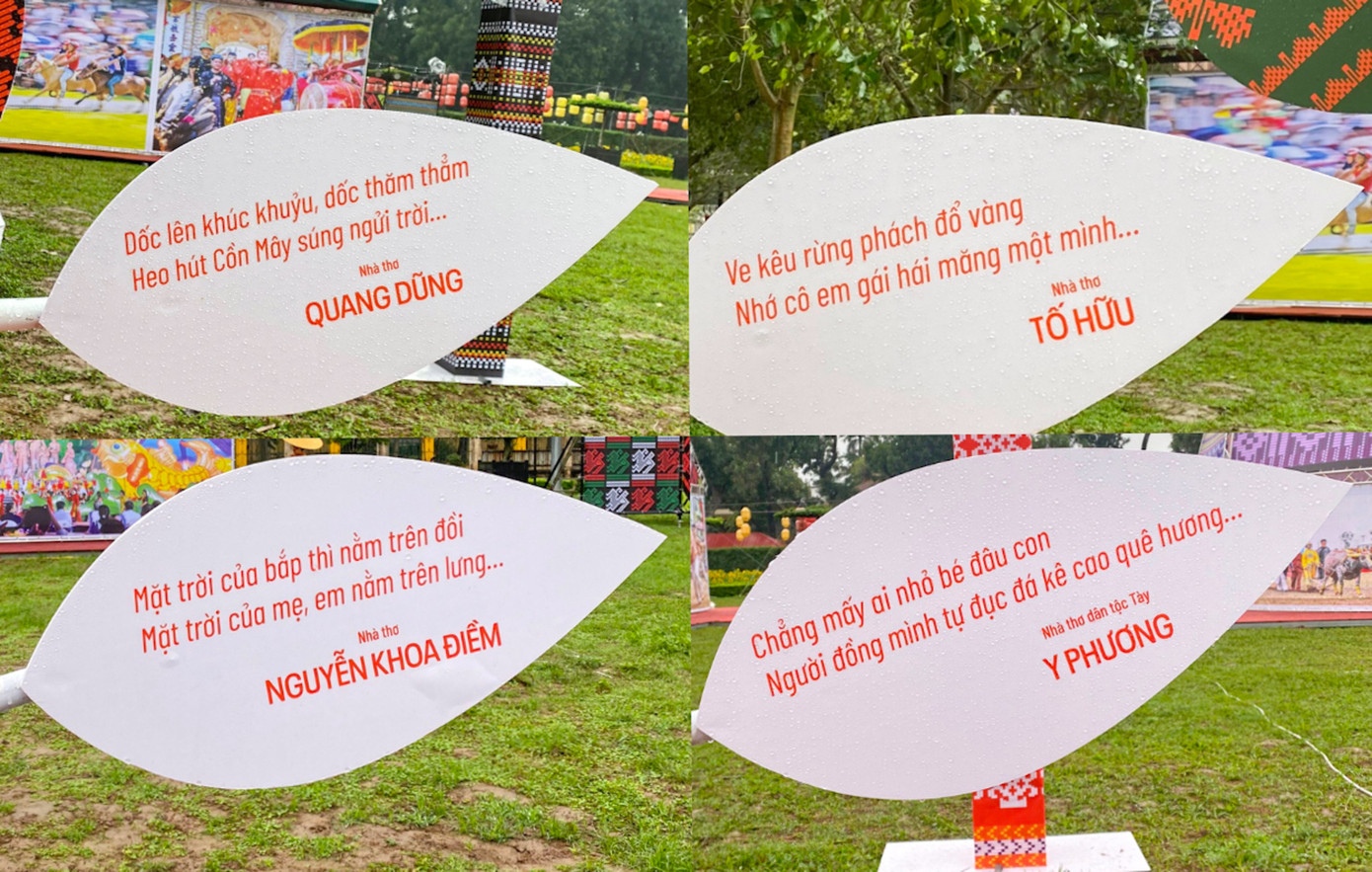 Một số câu thơ quen thuộc với nhiều thế hệ học trò bởi từng được dạy trong chương trình môn Ngữ Văn các cấp.