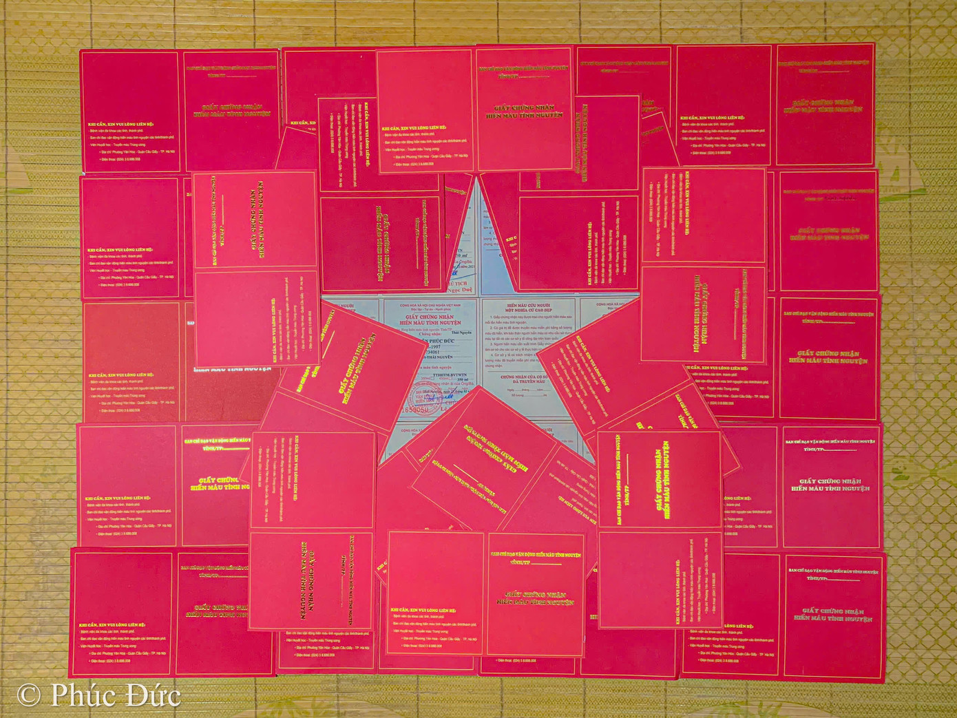 Hình ảnh lá cờ đặc biệt của Phúc Đức - Sinh viên Trường Đại học Khoa học, Đại học Thái Nguyên.