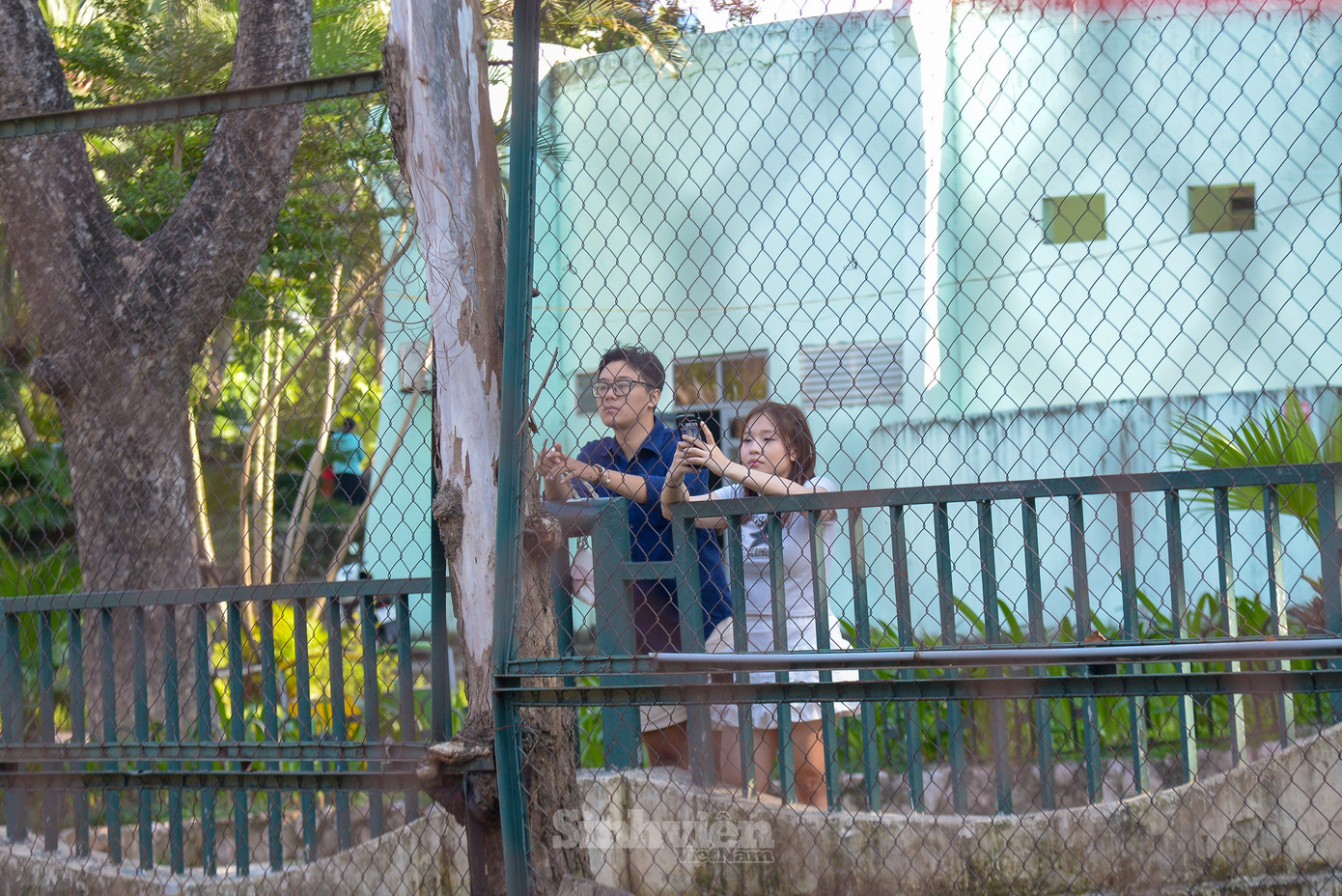 Như Quỳnh (19 tuổi) cùng bạn tới Vườn thú Hà Nội từ sớm để xem hà mã con, Quỳnh chia sẻ: “Mình biết đến chú hà mã này qua TikTok và tự nhủ cuối tuần này phải đi Vườn thú Hà Nội để được nhìn ngắm tận mắt. 'Idol hà mã con' rất rụt rè, đáng yêu và… béo tròn.”