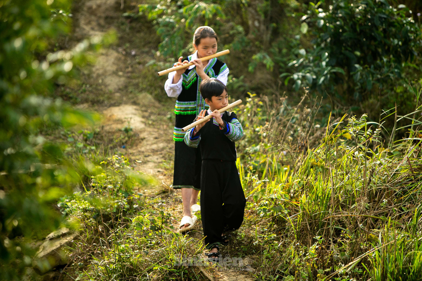 Khúc nhạc Xuân về trên bản Mông ngân vang trên đường đến trường.