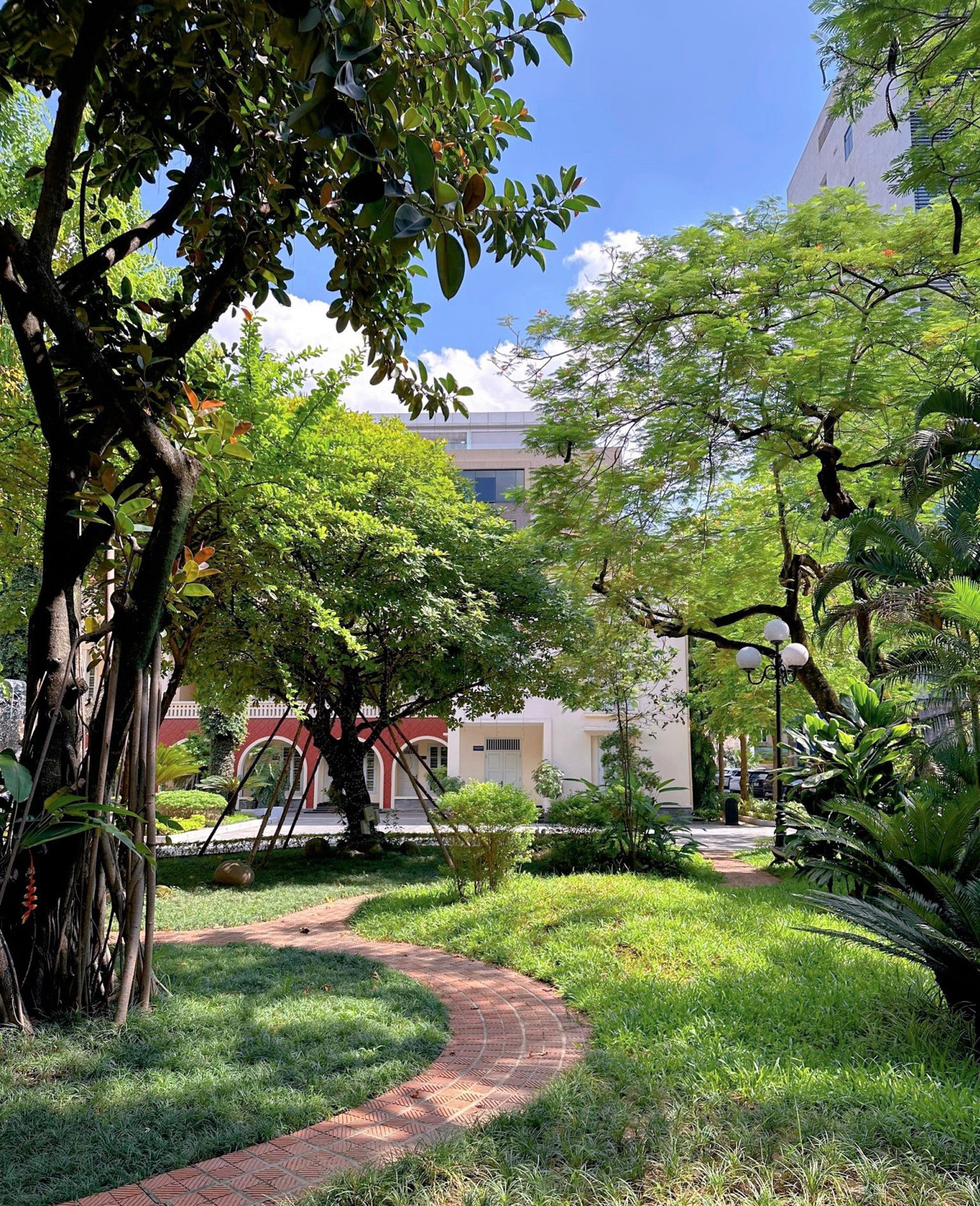 Mỗi góc nhỏ của vườn trường đều tràn ngập sắc xanh của cây lá, tạo nên một không gian thư giãn tuyệt vời.