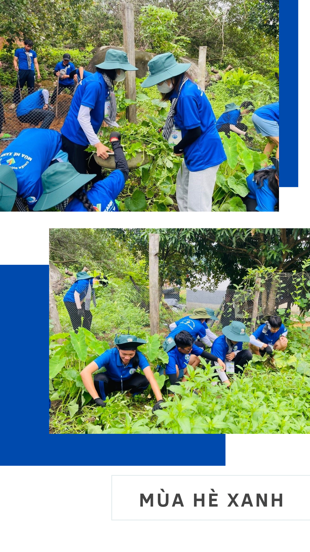 Hỗ trợ người dân tại xã Ia Tơi cải tạo vườn tạp.