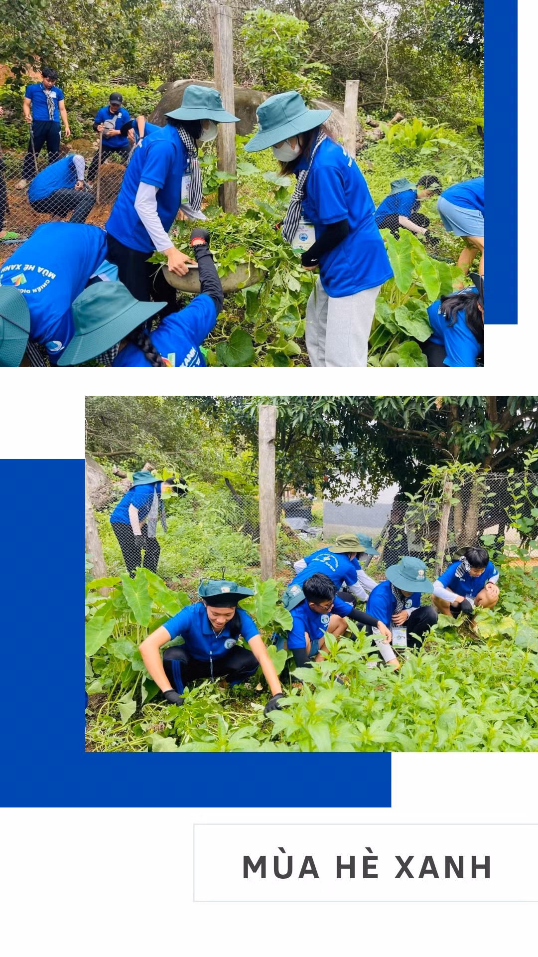 Hỗ trợ người dân tại xã Ia Tơi cải tạo vườn tạp. Hỗ trợ người dân tại xã Ia Tơi cải tạo vườn tạp.