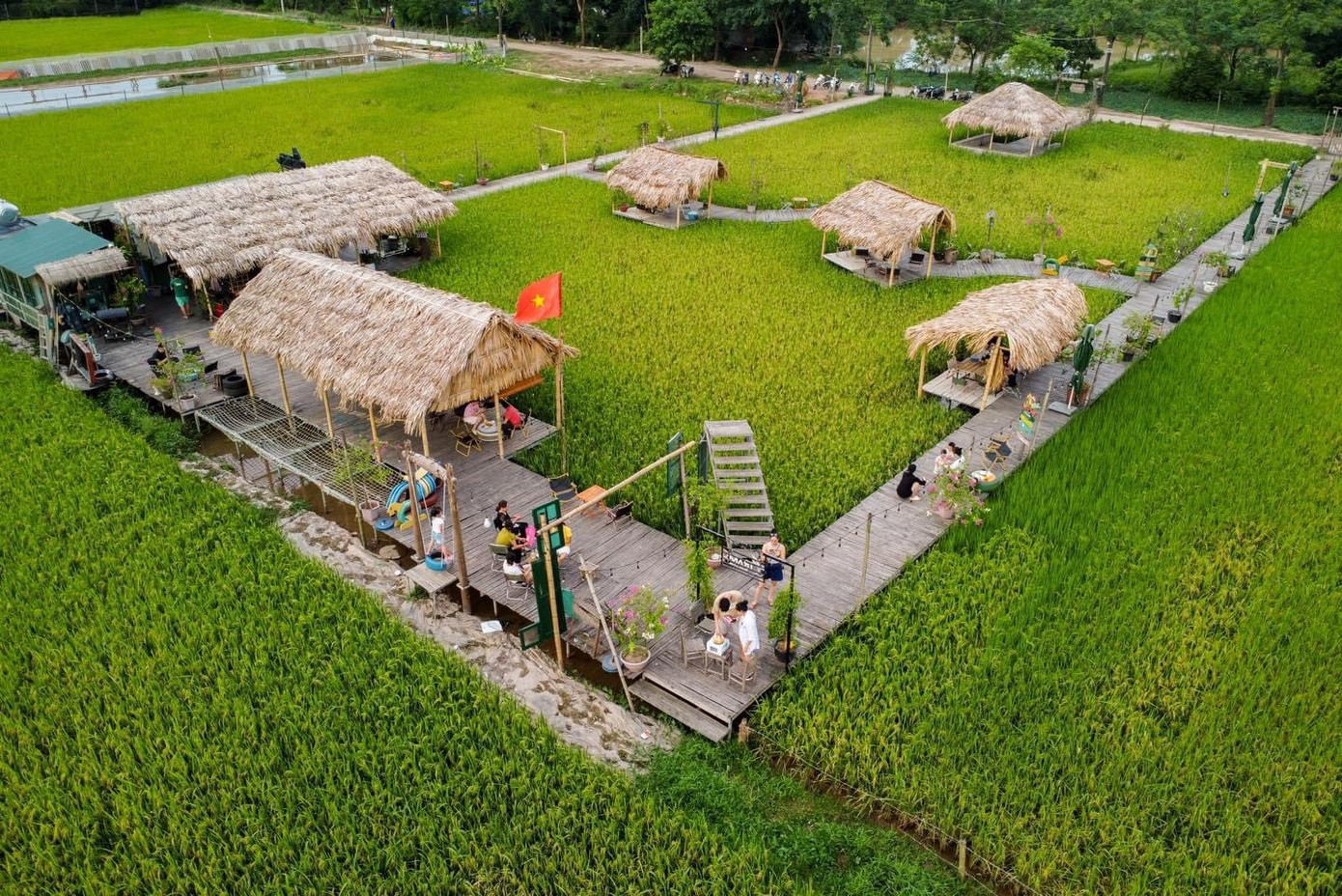 Trạm cảm xúc - Cafe ruộng nằm tại cánh đồng thôn Phương Bản, xã Phụng Châu. Trước vụ thu hoạch, không gian quán bao phủ bởi cánh đồng lúa bát ngát, thu hàng trăm bạn trẻ đến trải nghiệm. (Ảnh: TCX-Cafe ruộng)