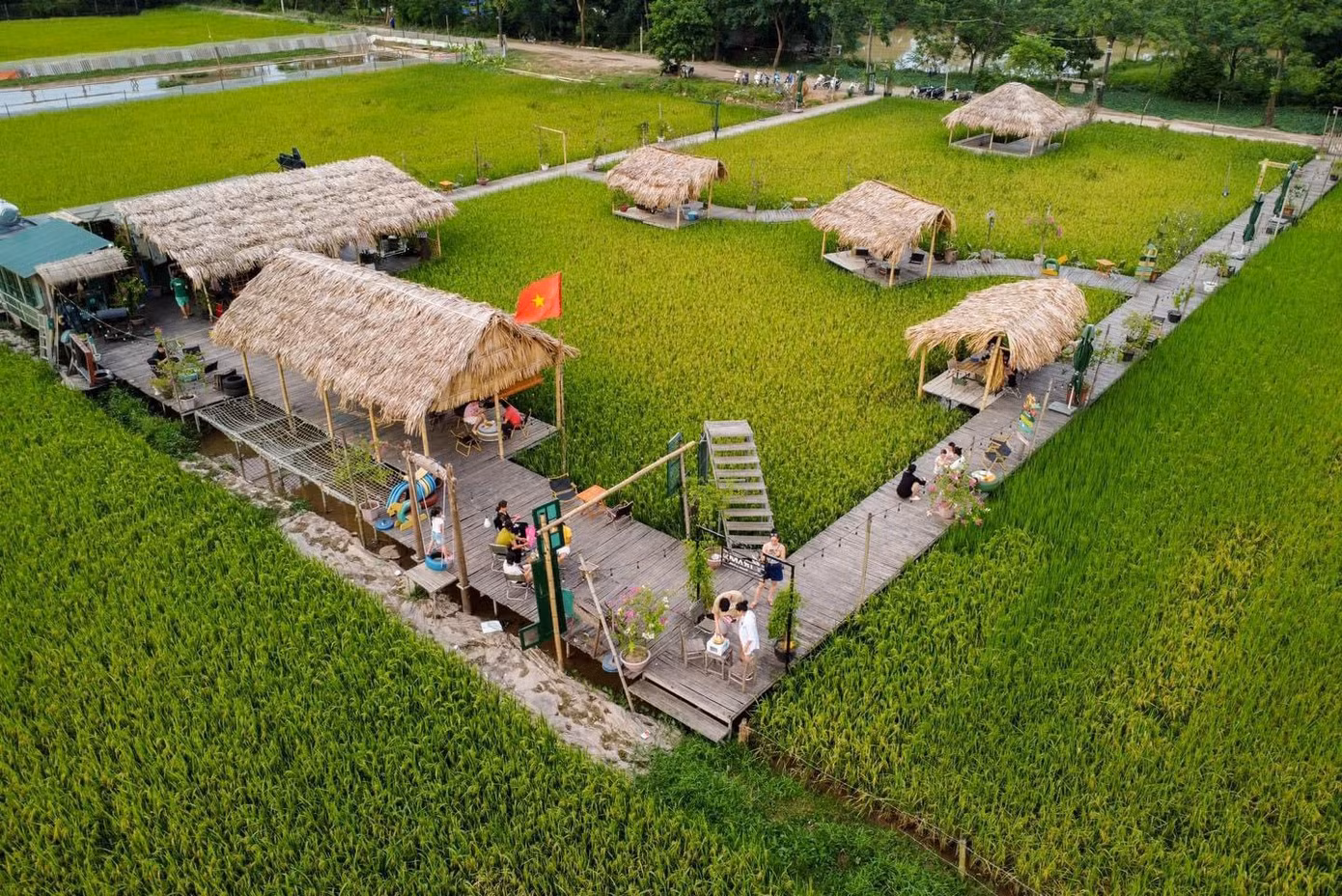 Trạm cảm xúc - Cafe ruộng nằm tại cánh đồng thôn Phương Bản, xã Phụng Châu. Trước vụ thu hoạch, không gian quán bao phủ bởi cánh đồng lúa bát ngát, thu hàng trăm bạn trẻ đến trải nghiệm. (Ảnh: TCX-Cafe ruộng)