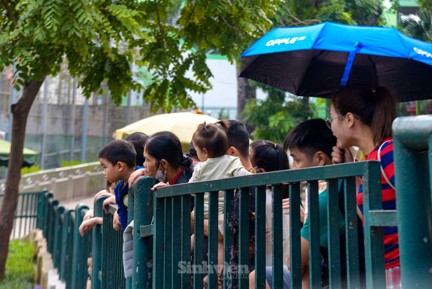 Nhiều người chờ đợi hà mã con xuất hiện.