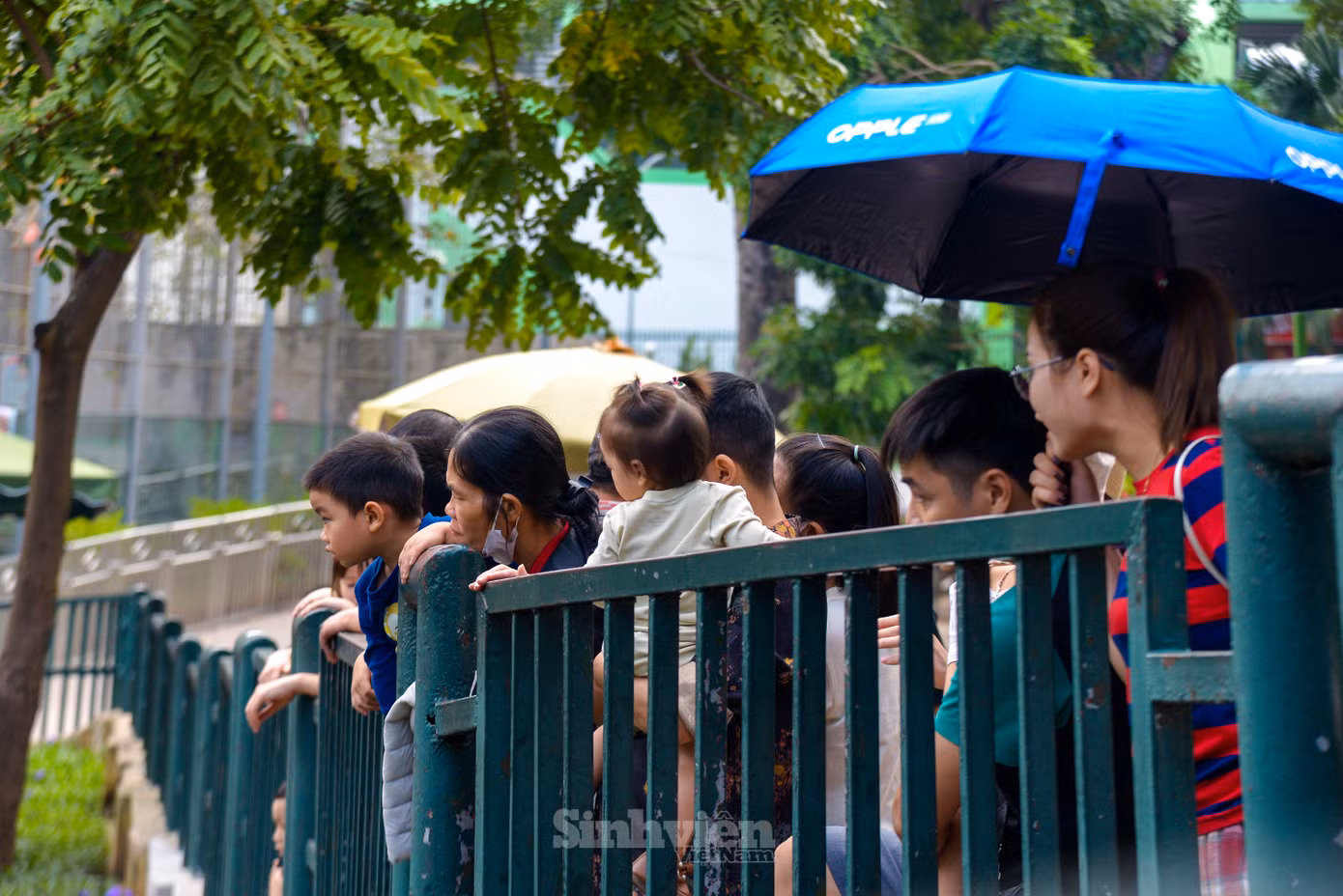 Nhiều người chờ đợi hà mã con xuất hiện.