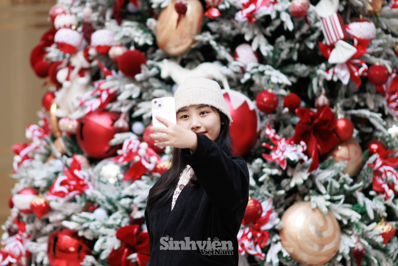 Cây thông Noel thu hút nhiều sinh viên, giảng viên đến 'check-in', chụp hình lưu niệm.