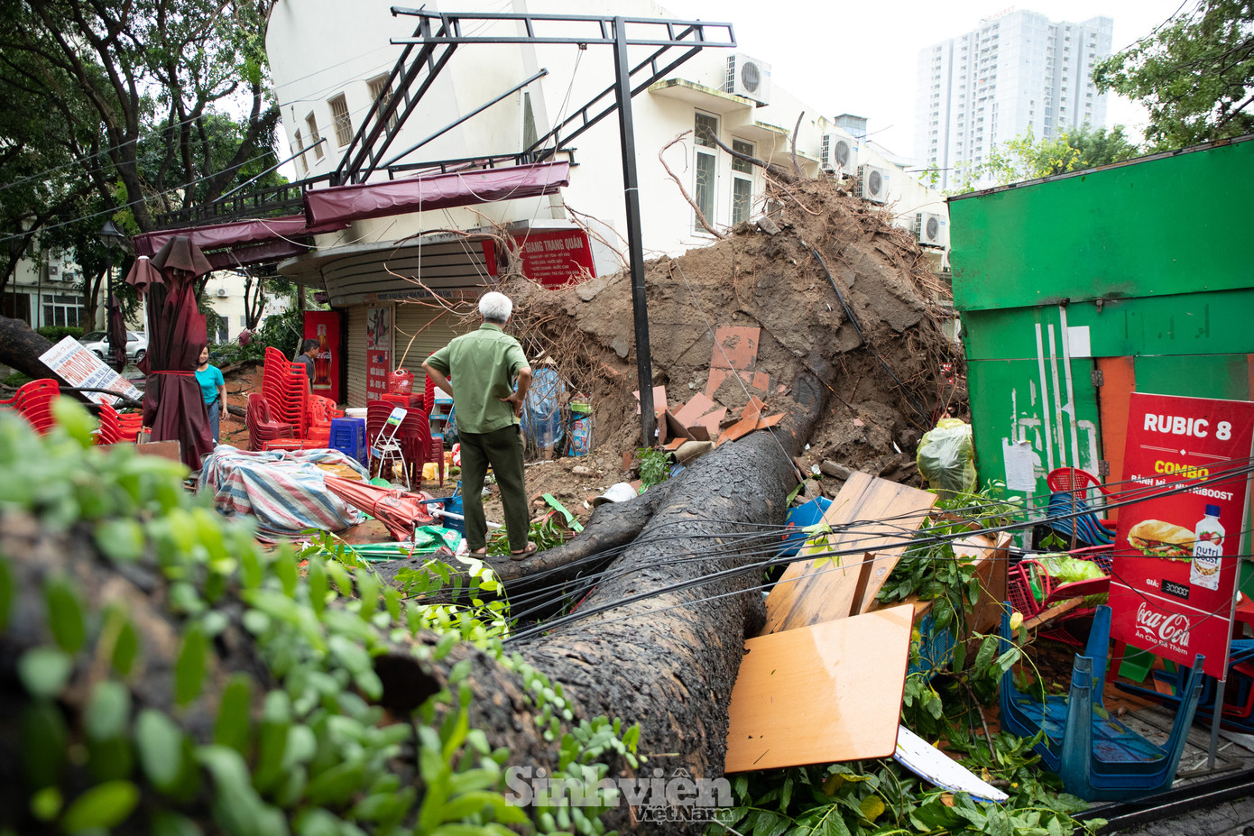 Nhiều cây lớn bật gốc, đổ sập căng tin đối diện Trường Đại học Luật.
