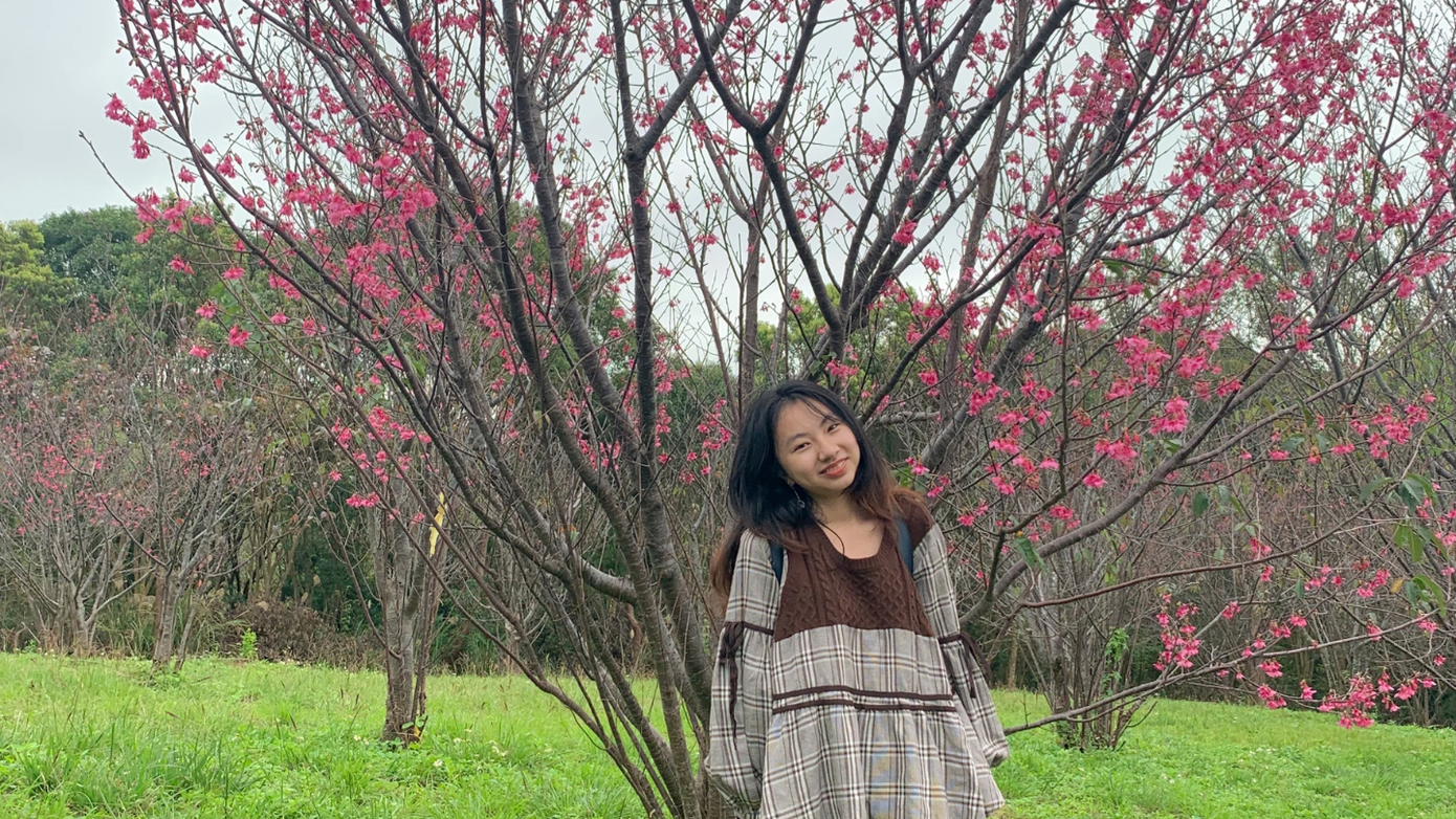 Hoa đón Tết Nguyên đán ở Đài Loan.