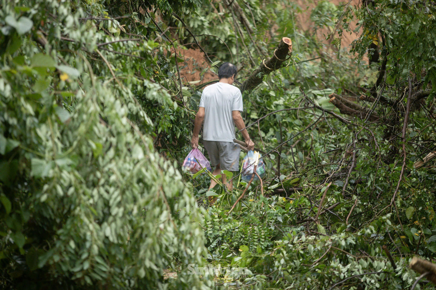 Một số đoạn đường vào sâu trong xã Định Biên sạt lở nghiêm trọng, bênh cạnh đường là dòng nước xiết, nguy hiểm trập trùng.