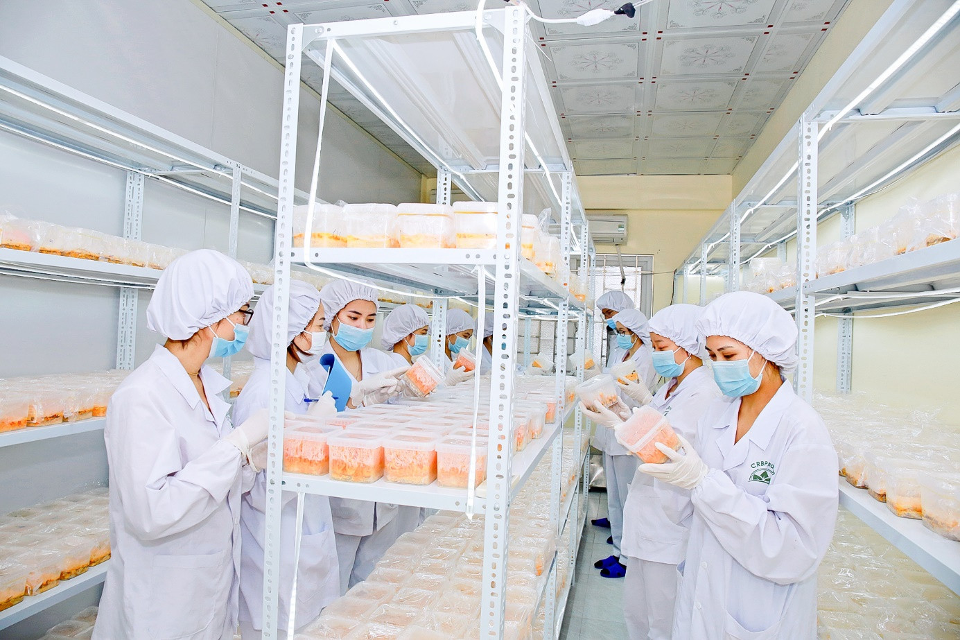 Sinh viên thực tập tại Khu nuôi cấy đông trùng hạ thảo.