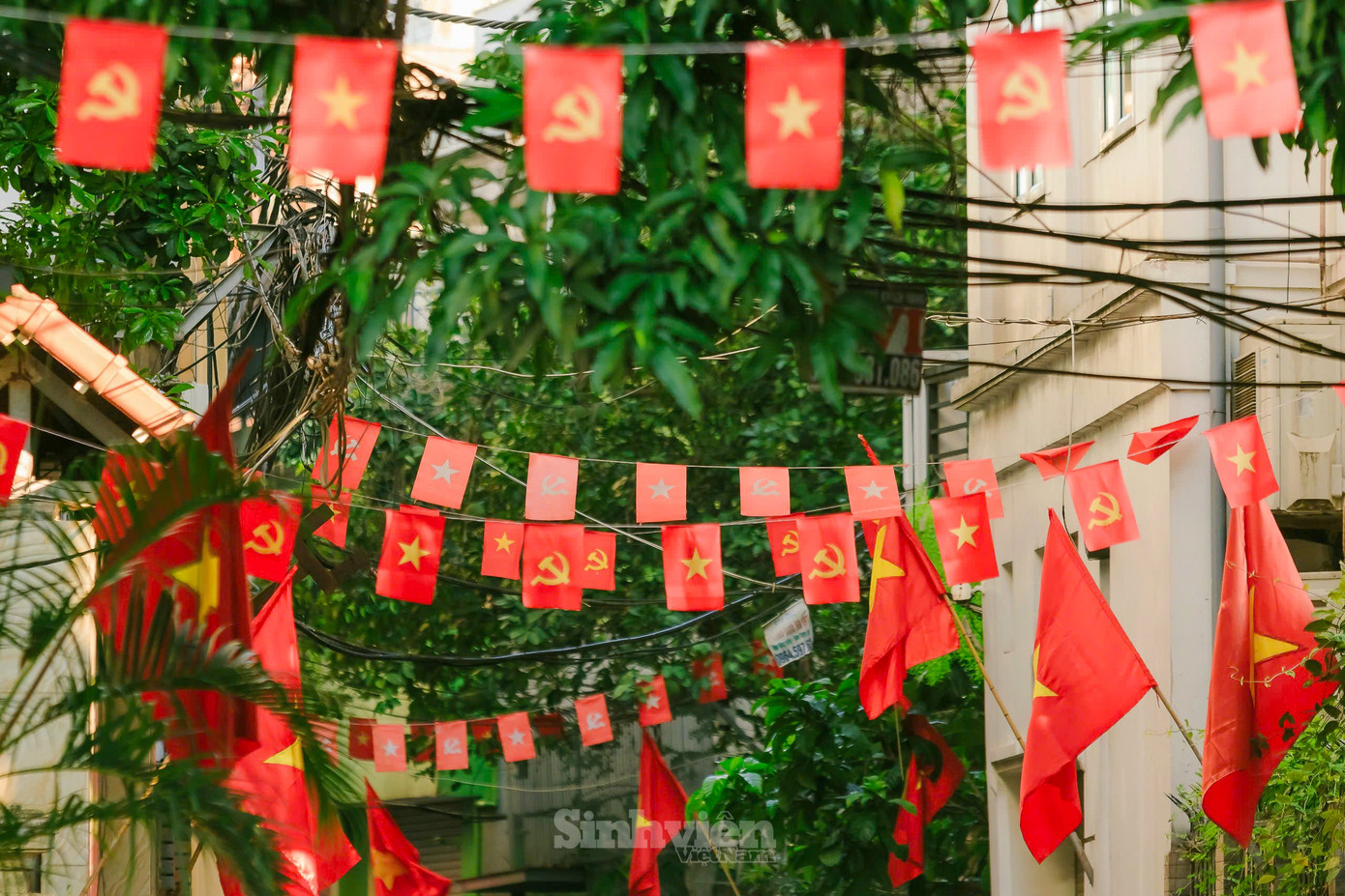 Những lá cờ rực rỡ dịp Quốc khánh.