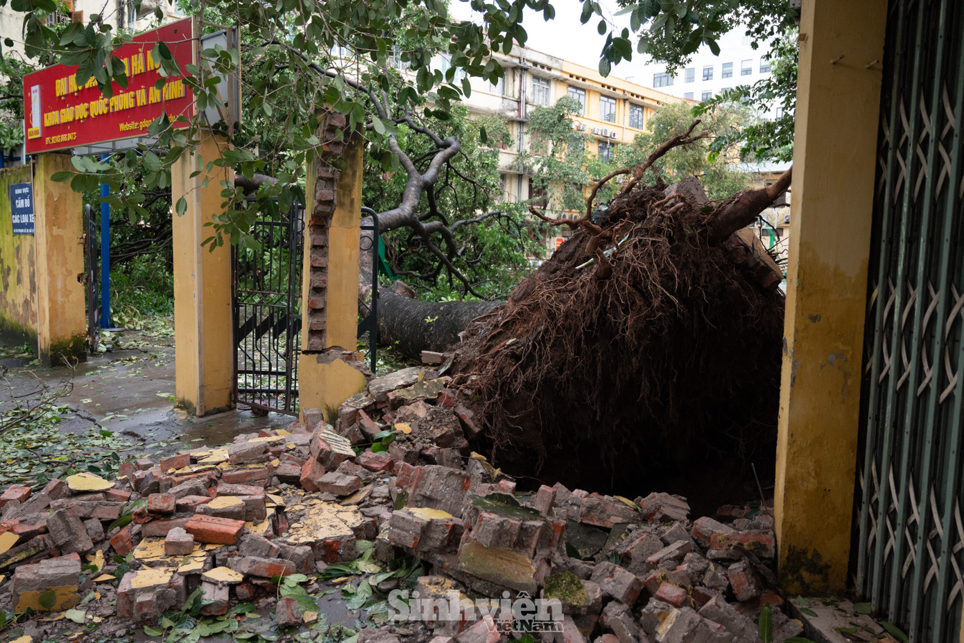 Khu Giáo dục QPAN và khuôn viên KTX Đại học Bách khoa, cây lớn bật gốc, đè đổ tường bao.
