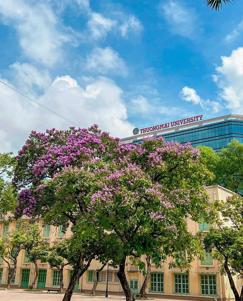 Khung cảnh Trường Đại học Thương mại vào hè.