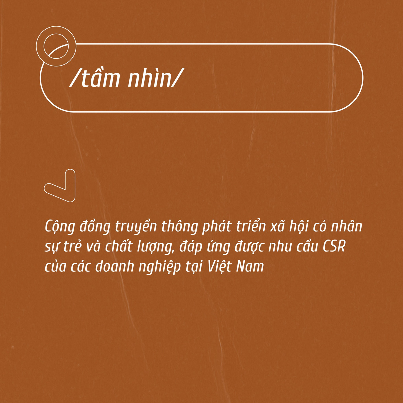 Nguồn cảm hứng đầy sáng tạo và thực tế của DIPLOMANT.