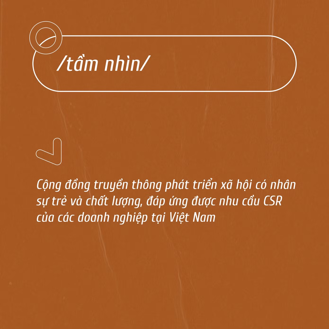 Nguồn cảm hứng đầy sáng tạo và thực tế của DIPLOMANT.