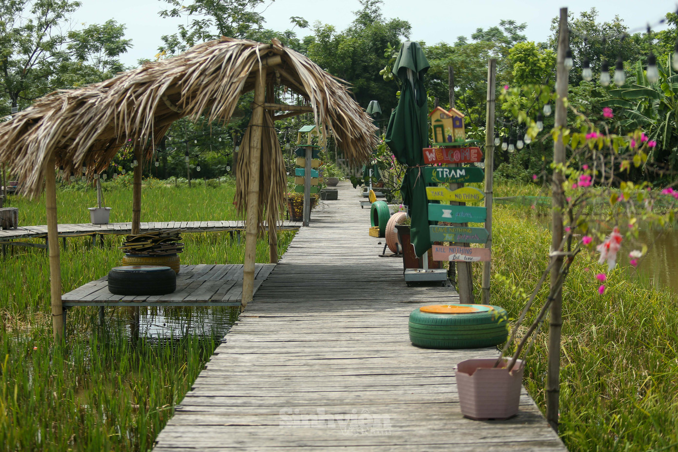 Fanpage của quán chia sẻ: "Những ngày này Trạm cũng đã cắt lúa, phơi thóc, gieo mạ cho vụ mới! Hẹn sớm gặp lại bạn khi mạ lên xanh non nhé!". Nhiều bạn trẻ tiếc nuối vì chưa kịp trải nghiệm không gian này.