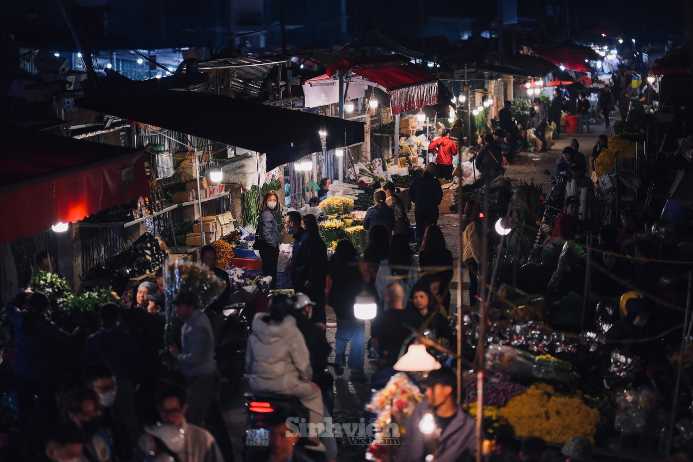 Khung cảnh chợ hoa Quảng An ngày 8/3 vẫn tấp nập dù đã về khuya.