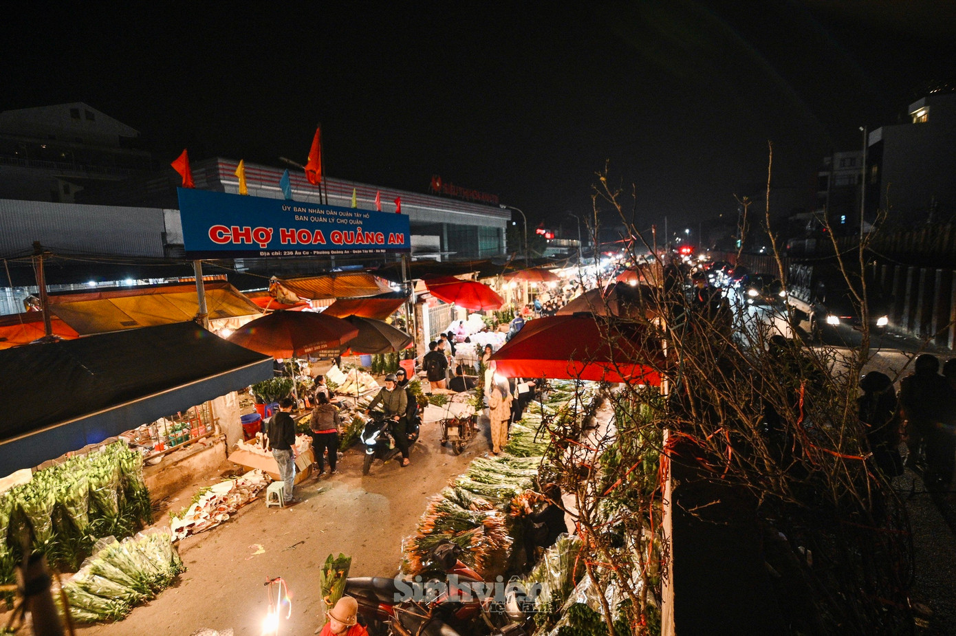 Chợ hoa Quảng An thường mở bán từ 21 giờ đến rạng sáng hôm sau. Thời gian từ 23 giờ đến 1 giờ sáng là thời điểm chợ đông khách nhất.