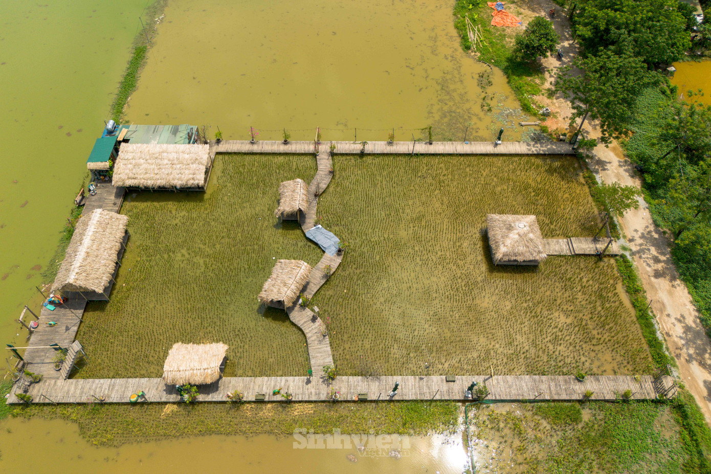 Hiện tại, nước được dẫn vào các ruộng lúa, chuẩn bị cho mùa vụ mới.