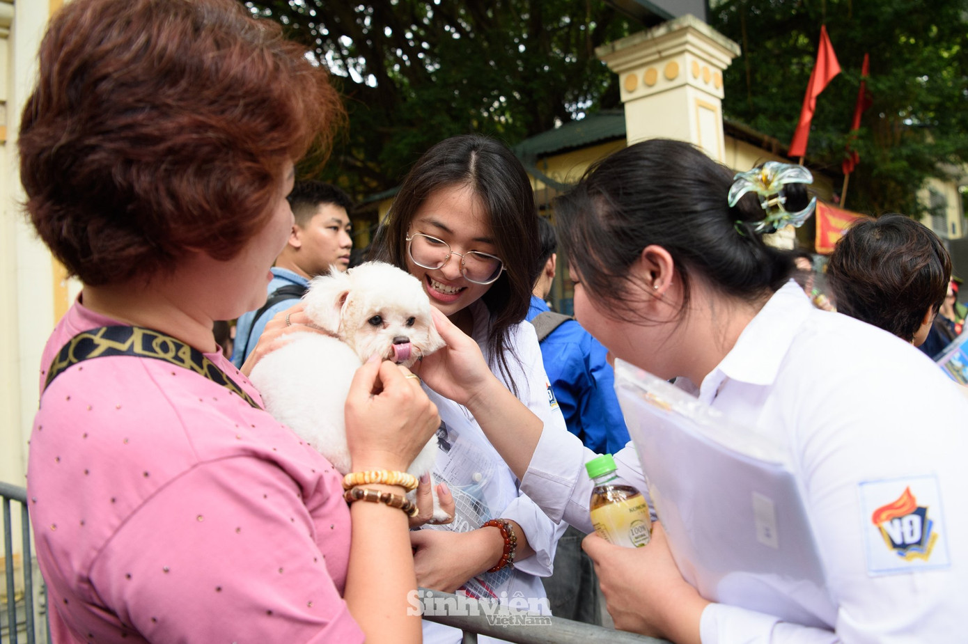 &quot;Người em bốn chân&quot; theo mẹ đến đón chị về. (Ghi nhận tại điểm thi Trường THPT Việt Đức - Hà Nội)